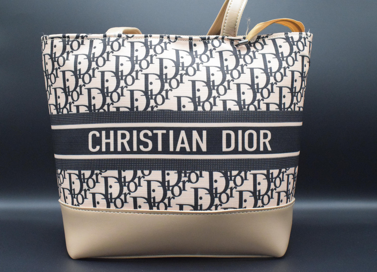 Shop Premium Christian Dior Tote Bag For Ladies At 4Feet